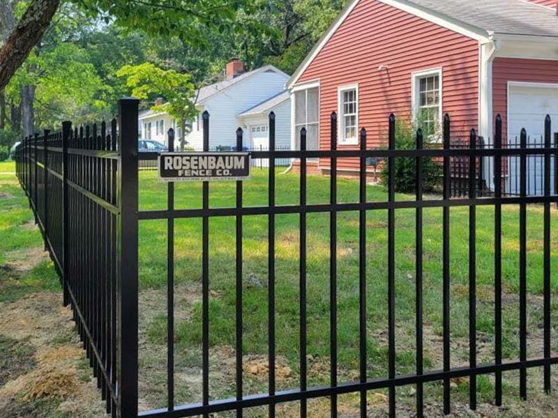 Ornamental Steel Dog Fencing in Hampton Virginia